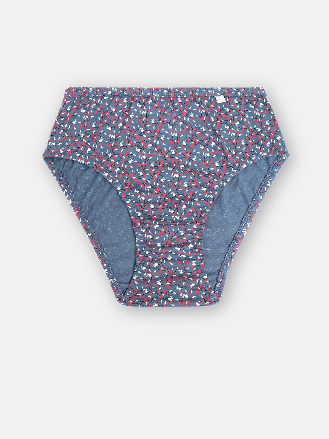 Prisma | Hipster (IE-Invisible Elastic) (PO3)-Combo-6 Lingerie