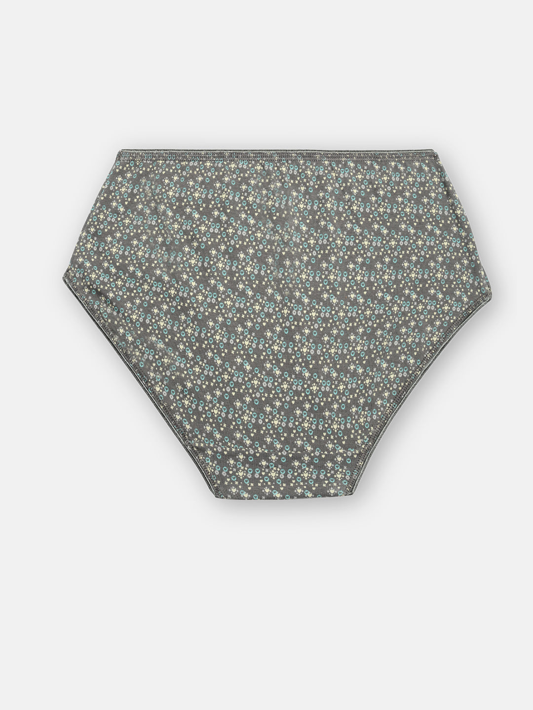 Prisma | High Waist Panty(OE-Outer Elastic) (PO3)-Combo-7 Lingerie