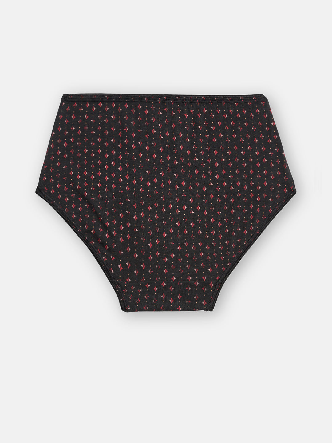 Prisma | High Waist Panty(OE-Outer Elastic) (PO3)-Combo-8 Lingerie