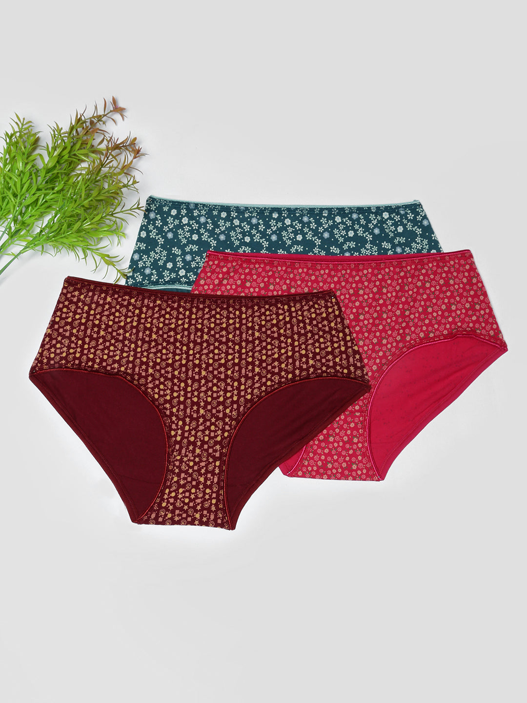 Prisma | High Waist Panty(OE-Outer Elastic) (PO3)-Combo-5 Lingerie