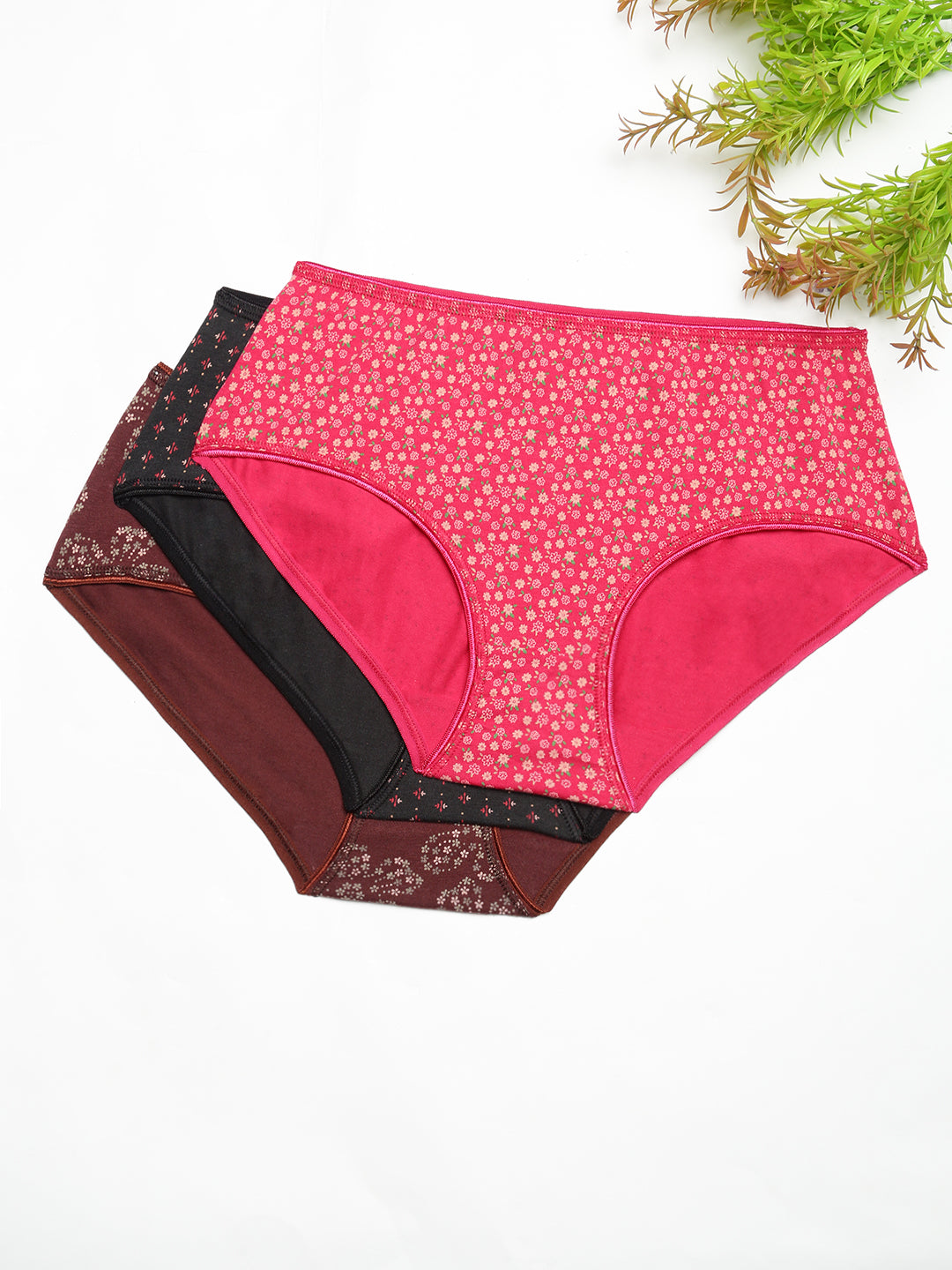 Prisma | High Waist Panty(OE-Outer Elastic) (PO3)-Combo-8 Lingerie