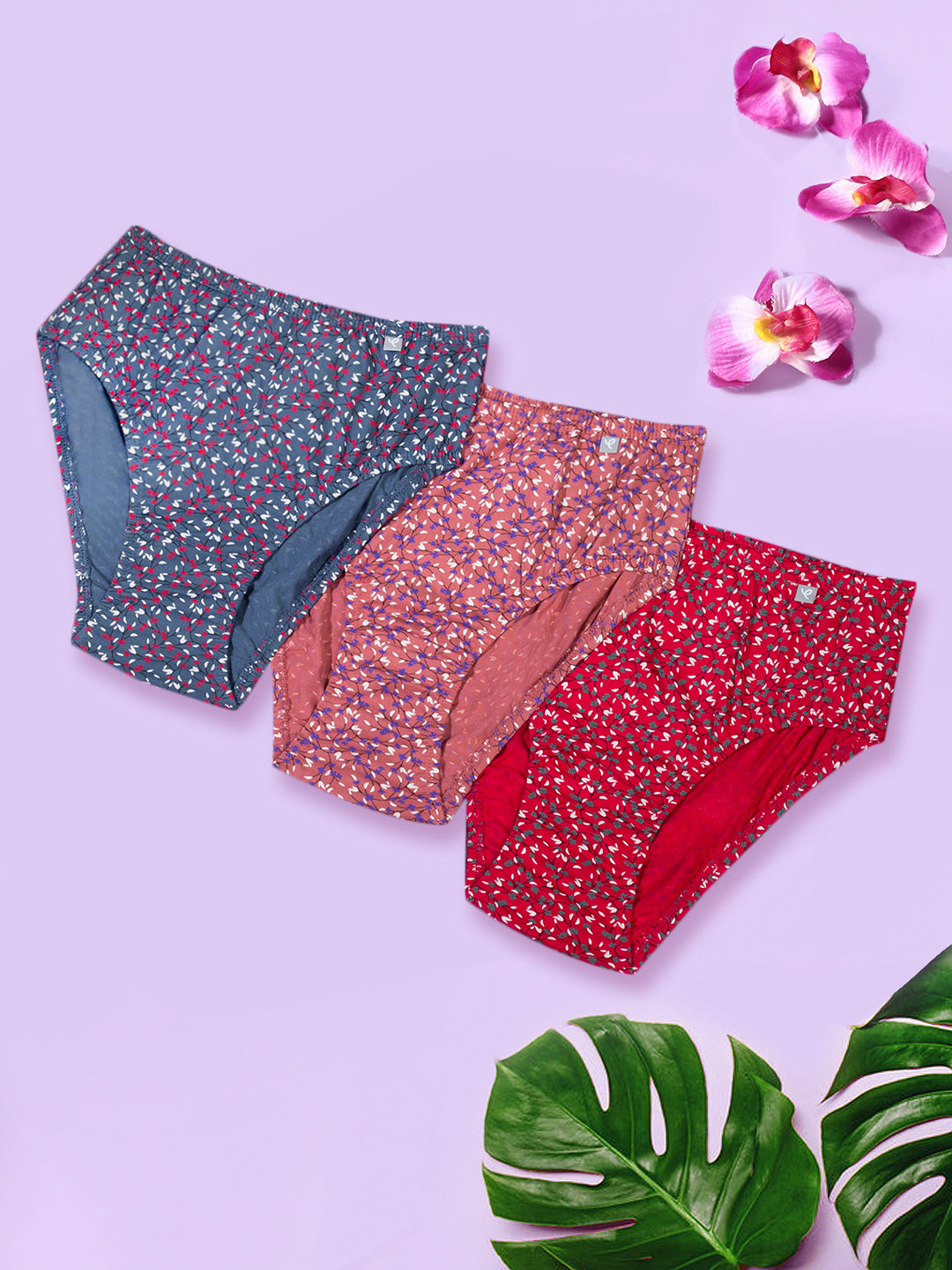 Prisma | Hipster (IE-Invisible Elastic) (PO3)-Combo-6 Lingerie