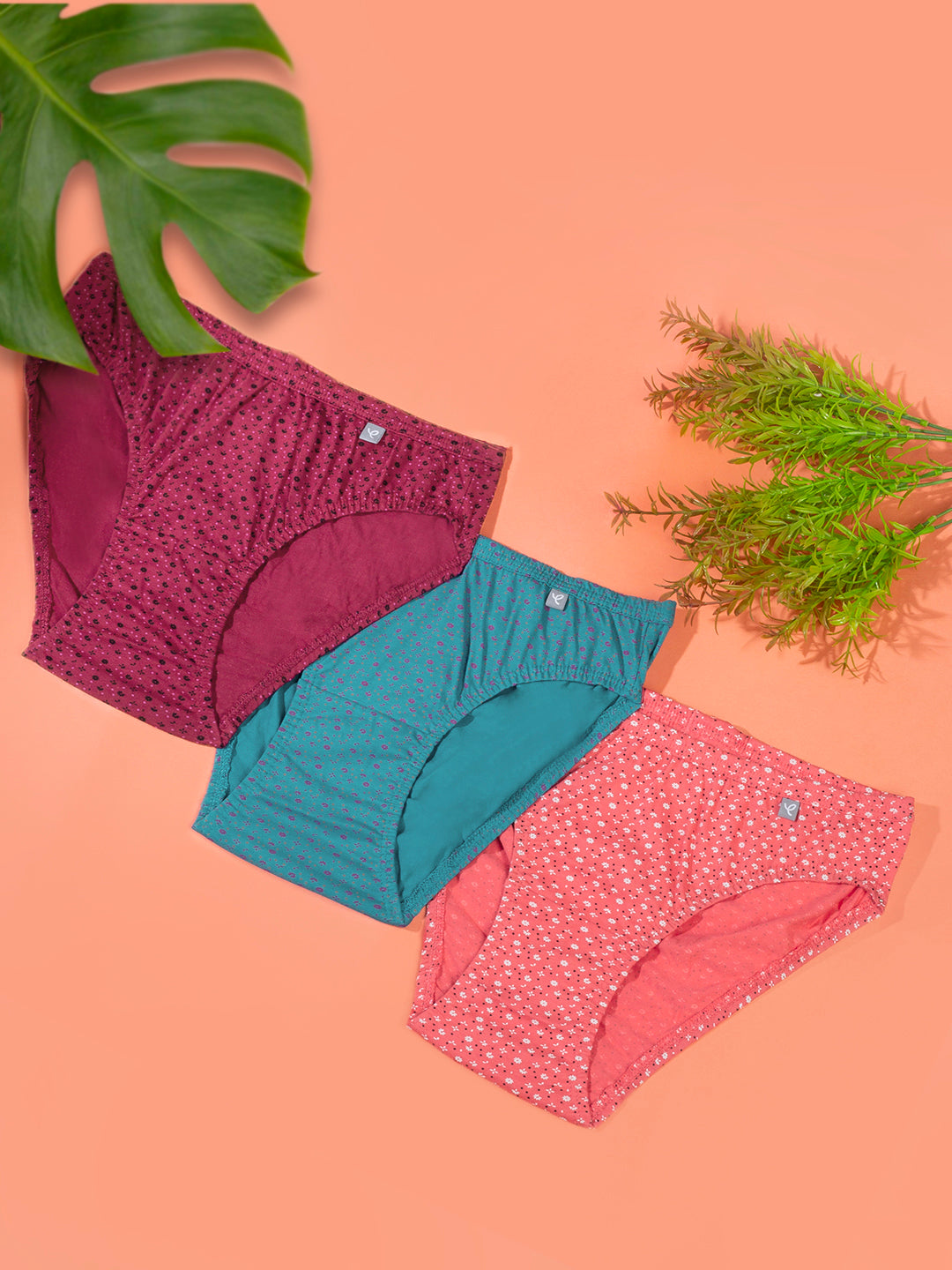 Prisma | Bikini (PO3)-Combo-5 Lingerie