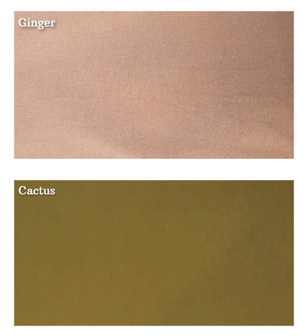 Prisma | Boy Shorts Panty (PO2)-Combo-5(Cactus, Ginger) Lingerie