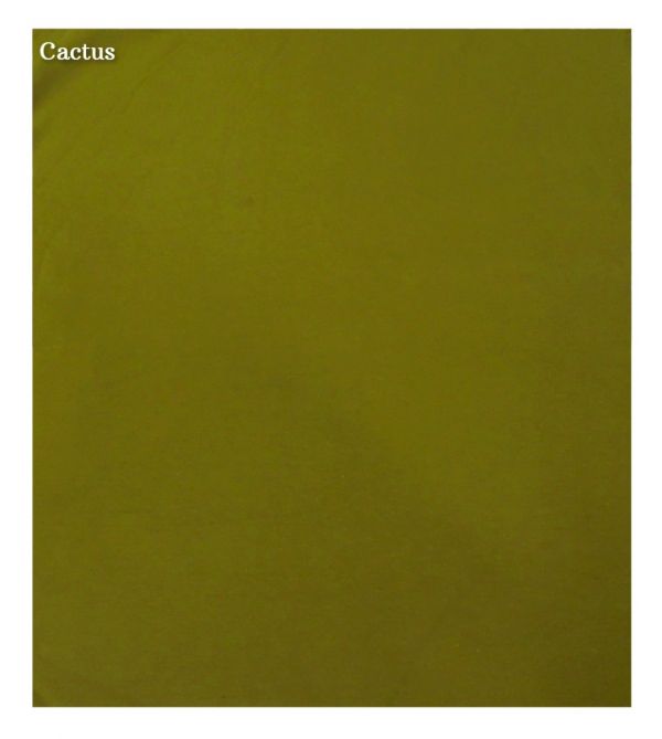 Prisma | Boy Shorts Panty (PO2)-Combo-5(Cactus, Ginger) Lingerie