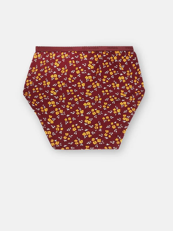 Prisma | Hipster (OE-Outer Elastic) (Pack of 2)-Print Assorted Lingerie