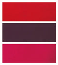 Prisma | High Waist Panty(OE-Outer Elastic) (Pack of 3)-Plain Assorted Lingerie